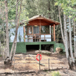 Cabaña inmmersa en el bosque en medio de la naturaleza.