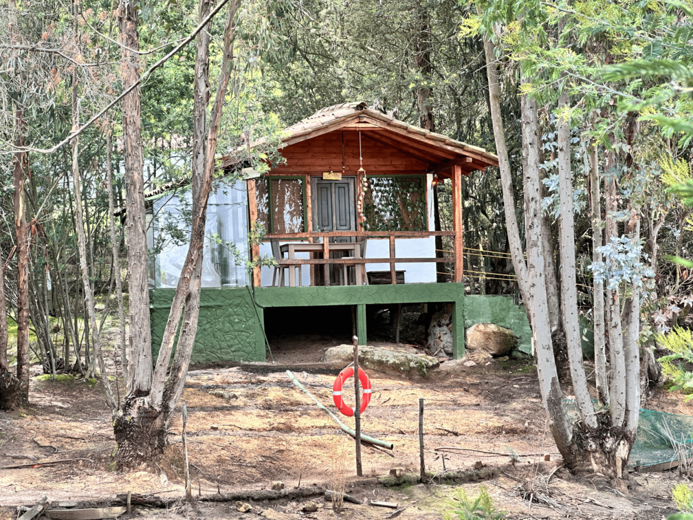 Cabaña inmmersa en el bosque en medio de la naturaleza.